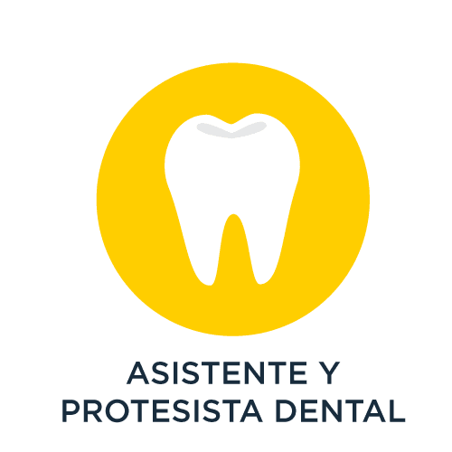 Asistente y Protesista Dental