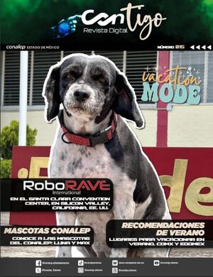 Revista Digital